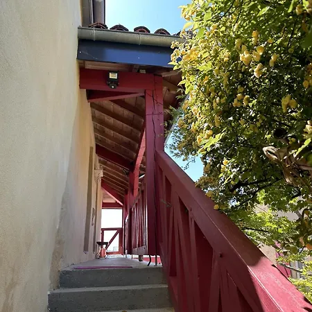 Le Patio Tursan * Pimbo