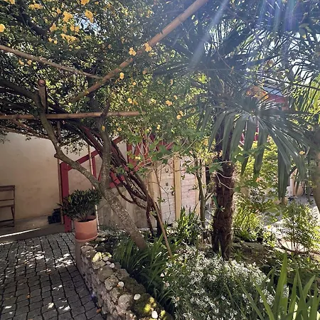 Pensjonat Le Patio Tursan