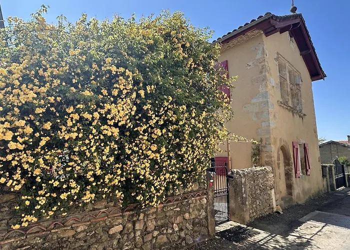 Le Patio Tursan Guest house 3*